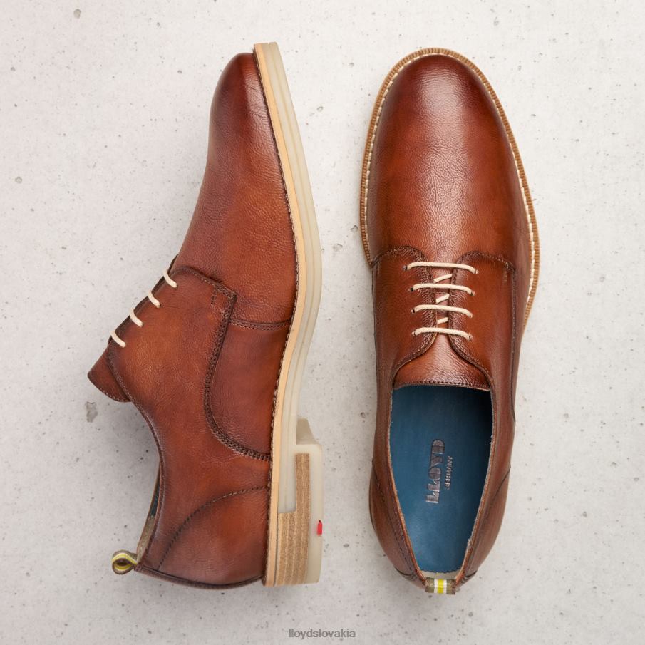 LLOYD dakota muži topánky hnedá 6R0JN608