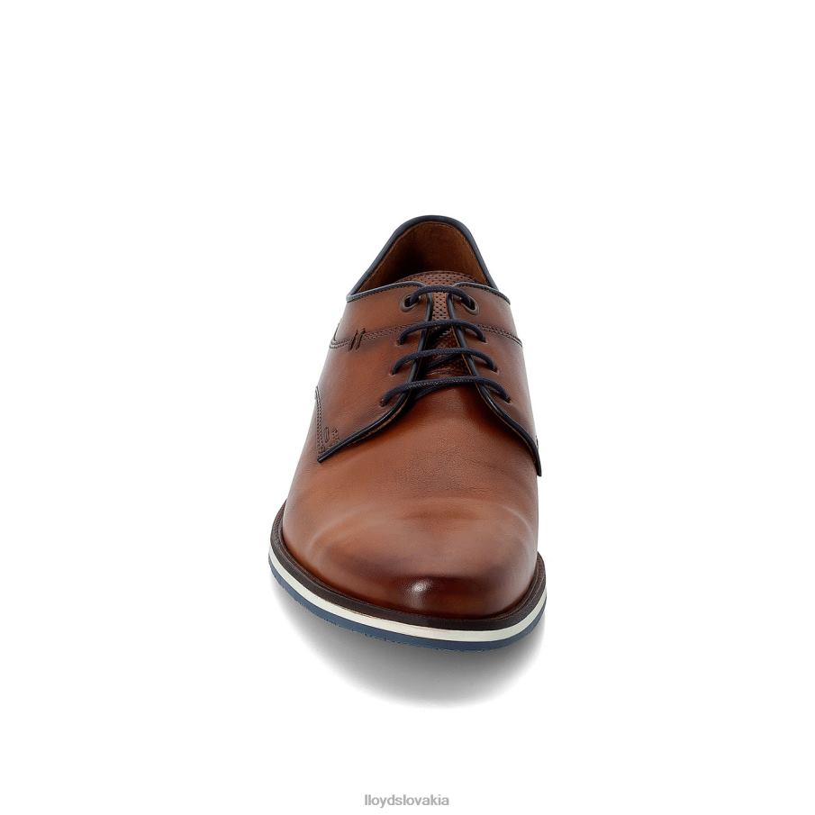 LLOYD danjaan muži topánky hnedá 6R0JN609