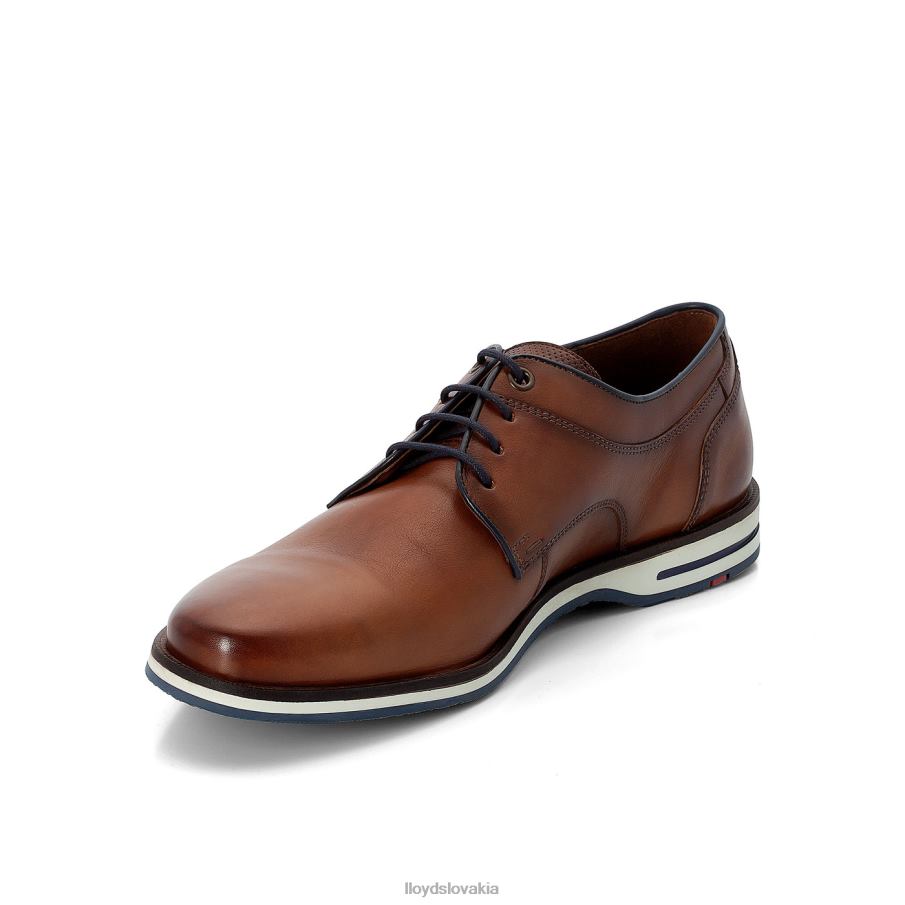 LLOYD danjaan muži topánky hnedá 6R0JN609