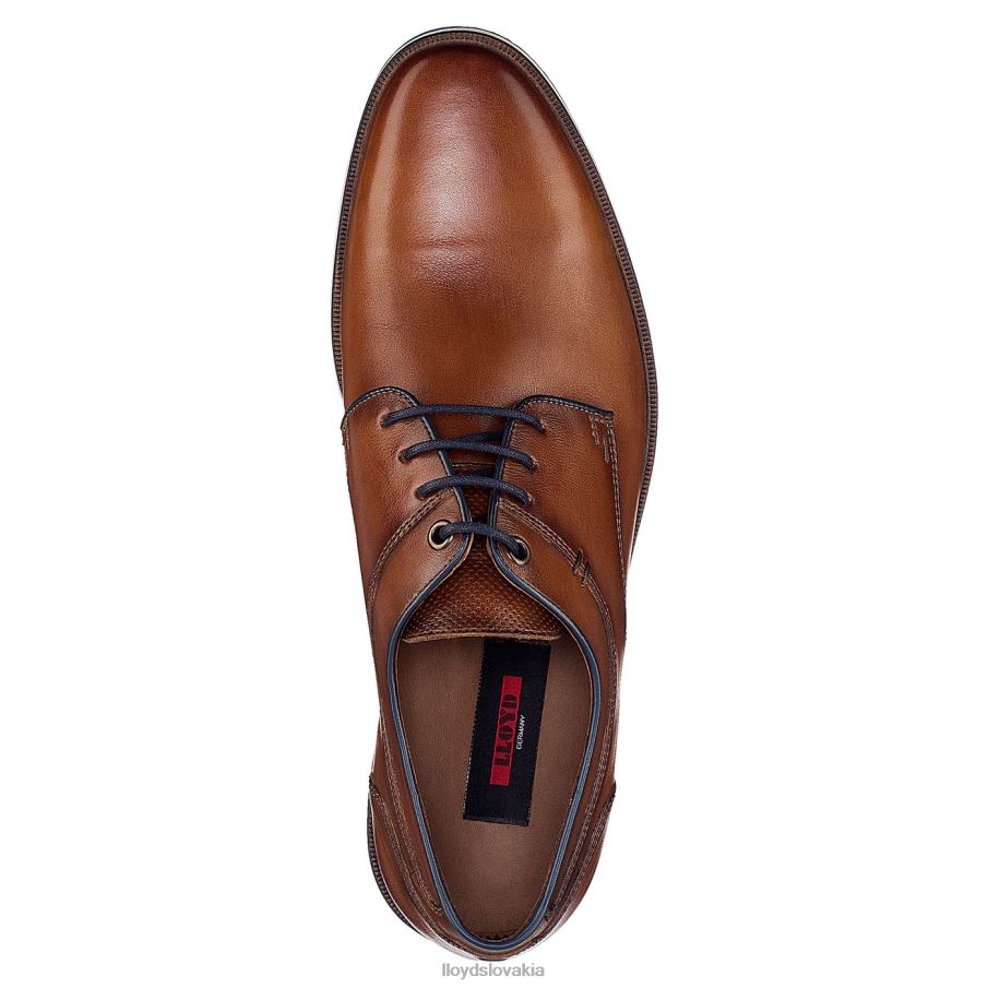 LLOYD danjaan muži topánky hnedá 6R0JN609