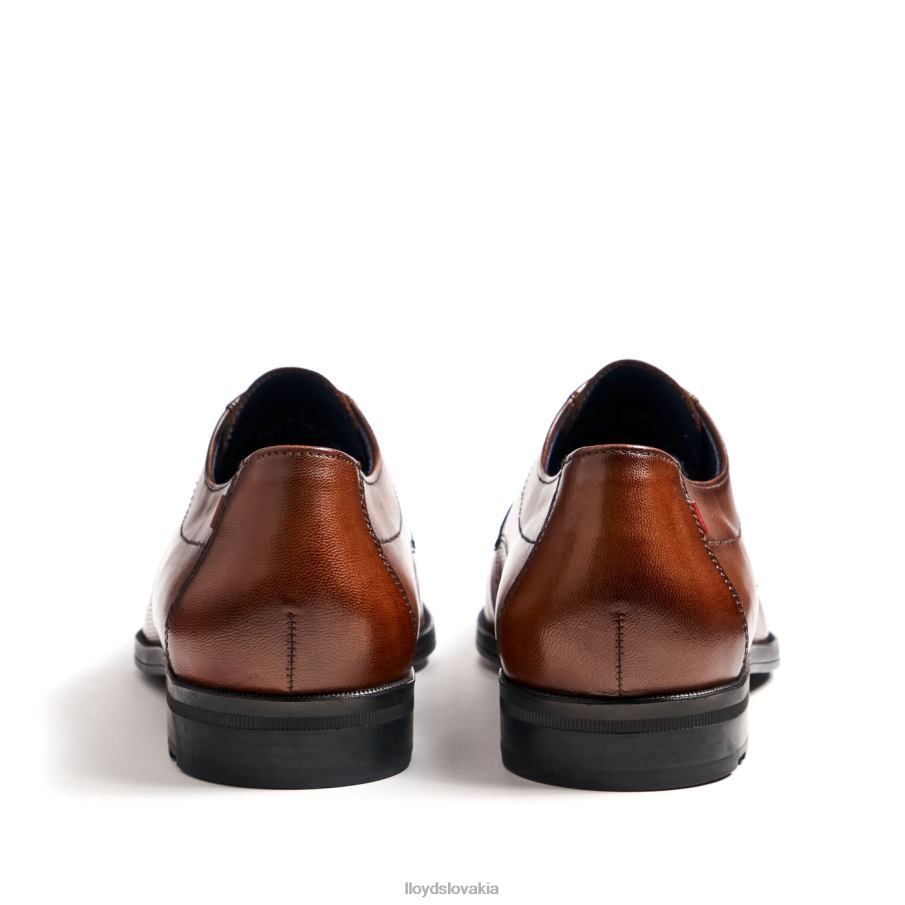 LLOYD folco muži topánky hnedá 6R0JN15