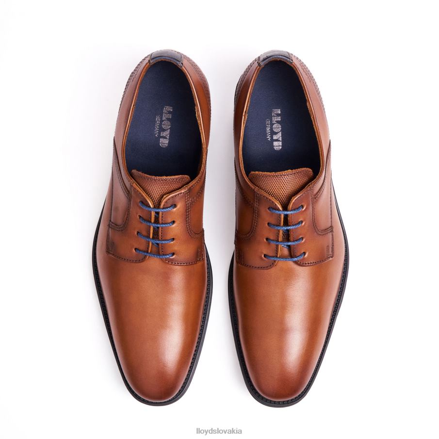 LLOYD gala muži topánky hnedá 6R0JN102