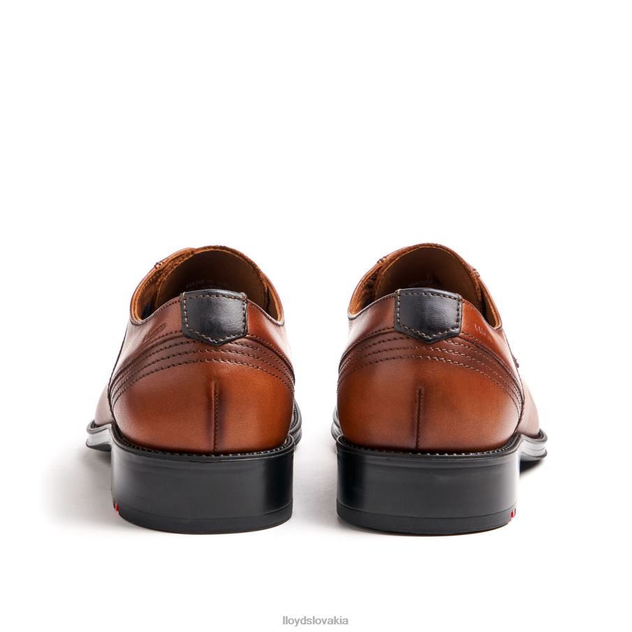 LLOYD gala muži topánky hnedá 6R0JN102