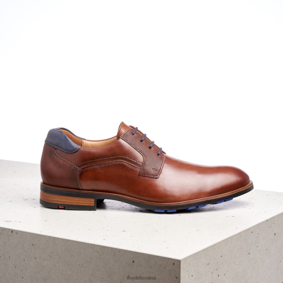 LLOYD jake muži topánky hnedá 6R0JN199