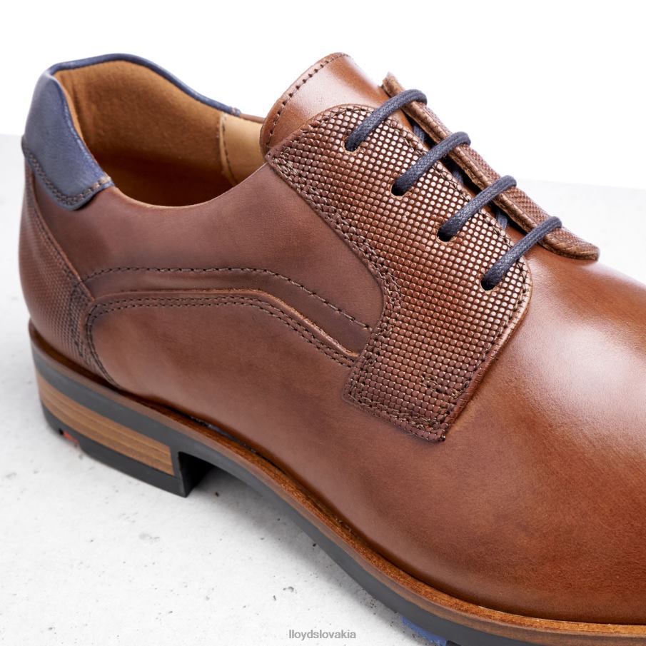 LLOYD jake muži topánky hnedá 6R0JN199