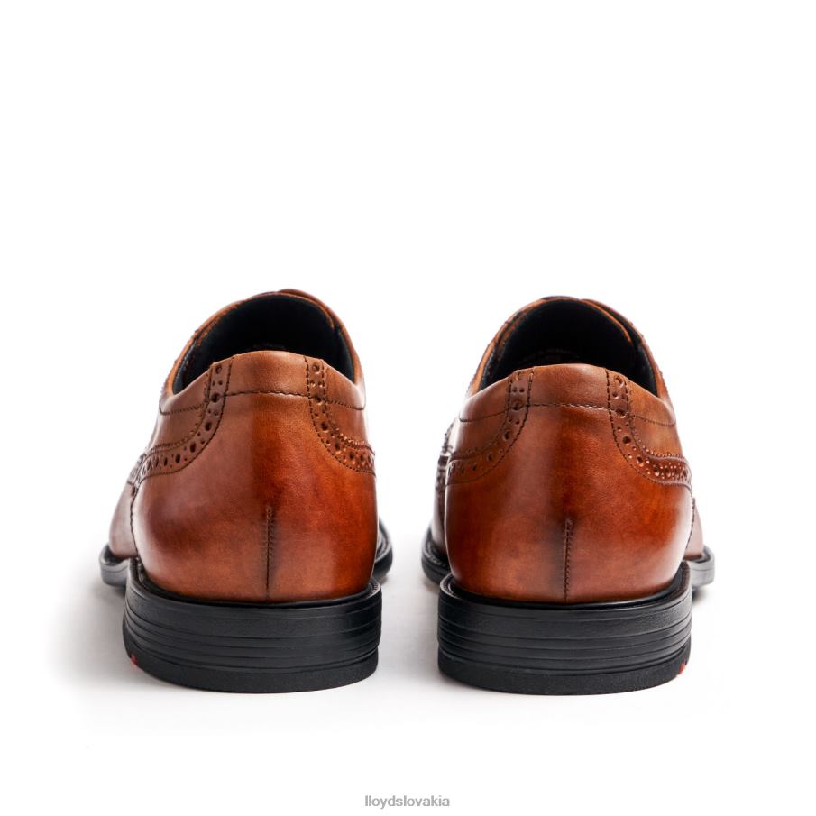 LLOYD kaleb (xtrawide) muži topánky hnedá 6R0JN20