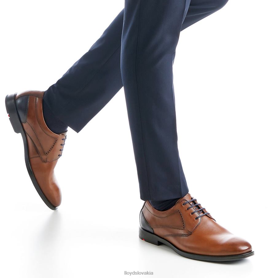 LLOYD kalmar (xtrawide) muži topánky hnedá 6R0JN94