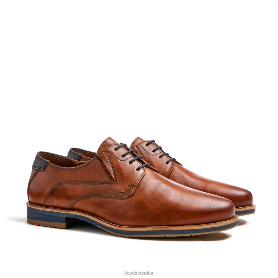 LLOYD kazan (xtrawide) muži topánky hnedá 6R0JN110