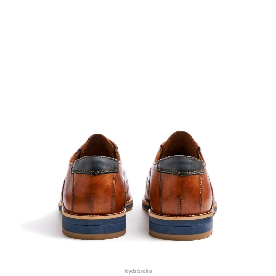 LLOYD kazan (xtrawide) muži topánky hnedá 6R0JN110