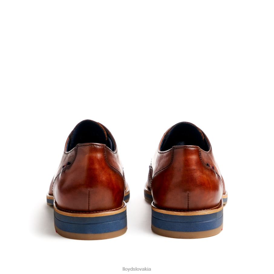 LLOYD laval muži topánky hnedá 6R0JN41