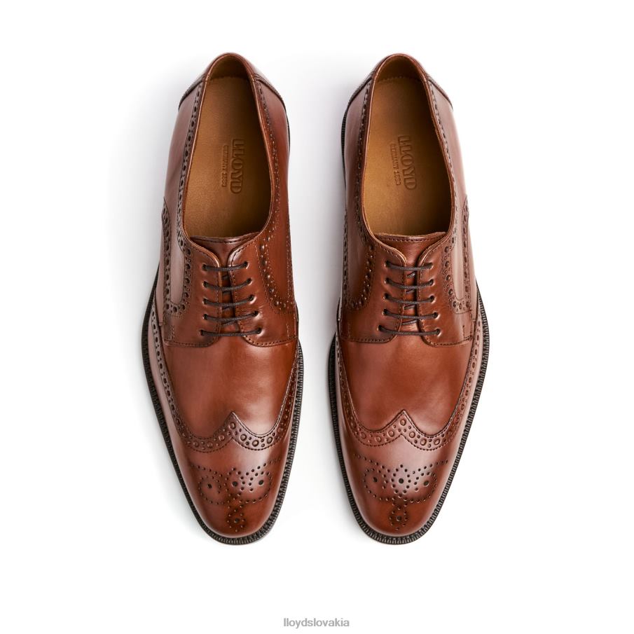 LLOYD lucien muži topánky hnedá 6R0JN574