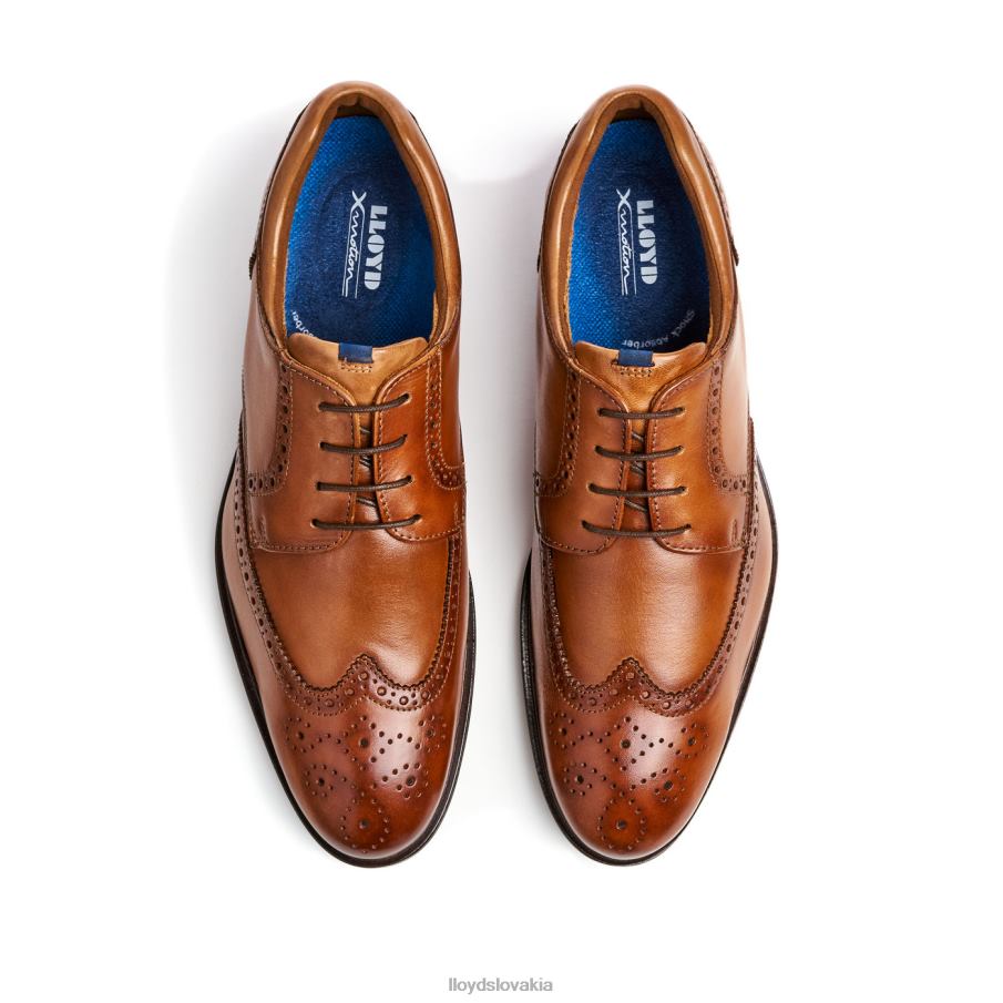 LLOYD mariánsky muži topánky hnedá 6R0JN141