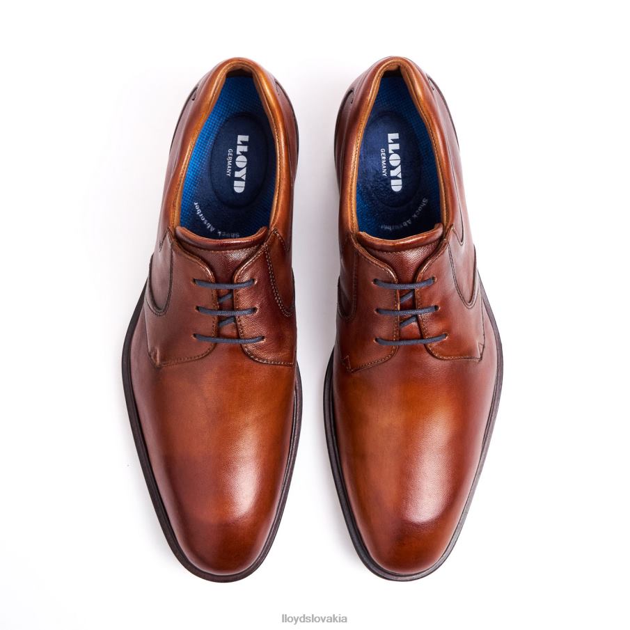 LLOYD monty muži topánky hnedá 6R0JN134