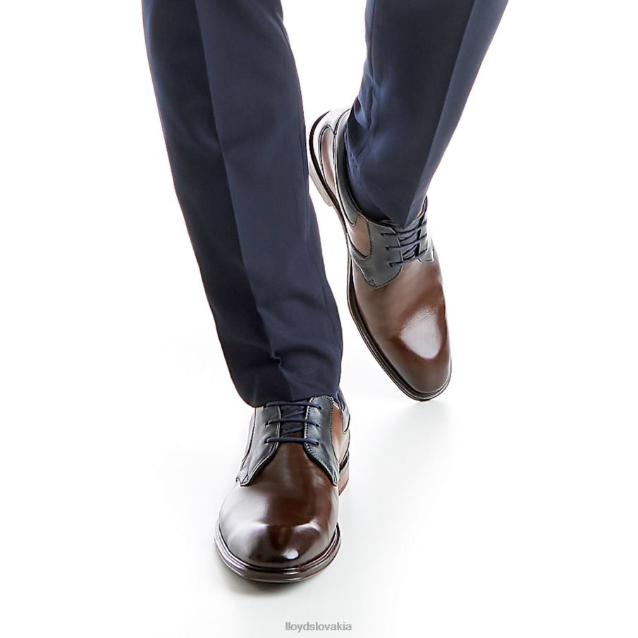 LLOYD monty muži topánky hnedá 6R0JN227