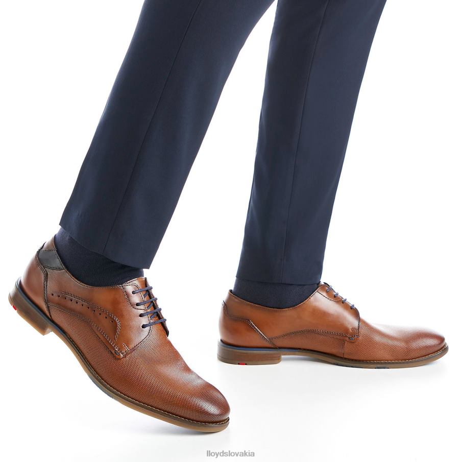 LLOYD namir muži topánky hnedá 6R0JN217