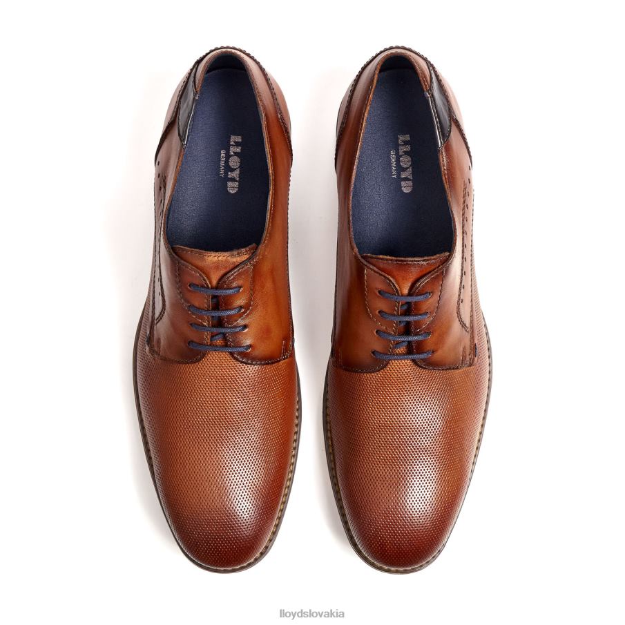 LLOYD namir muži topánky hnedá 6R0JN217