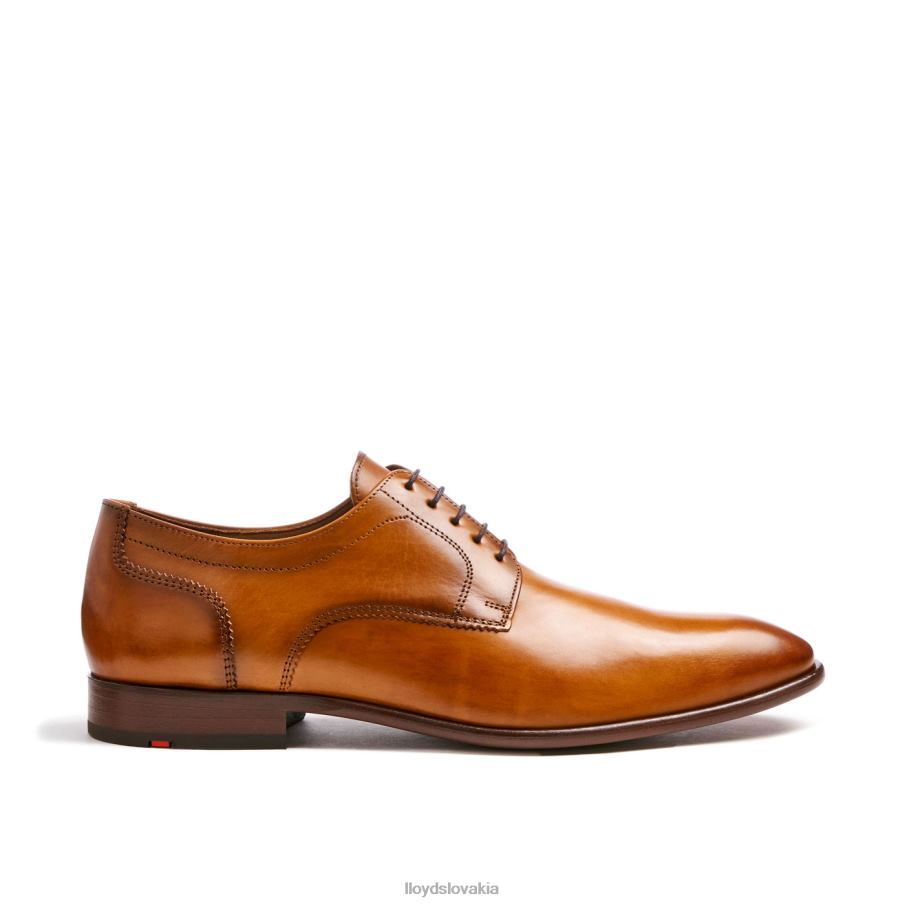 LLOYD pados muži topánky hnedá 6R0JN152