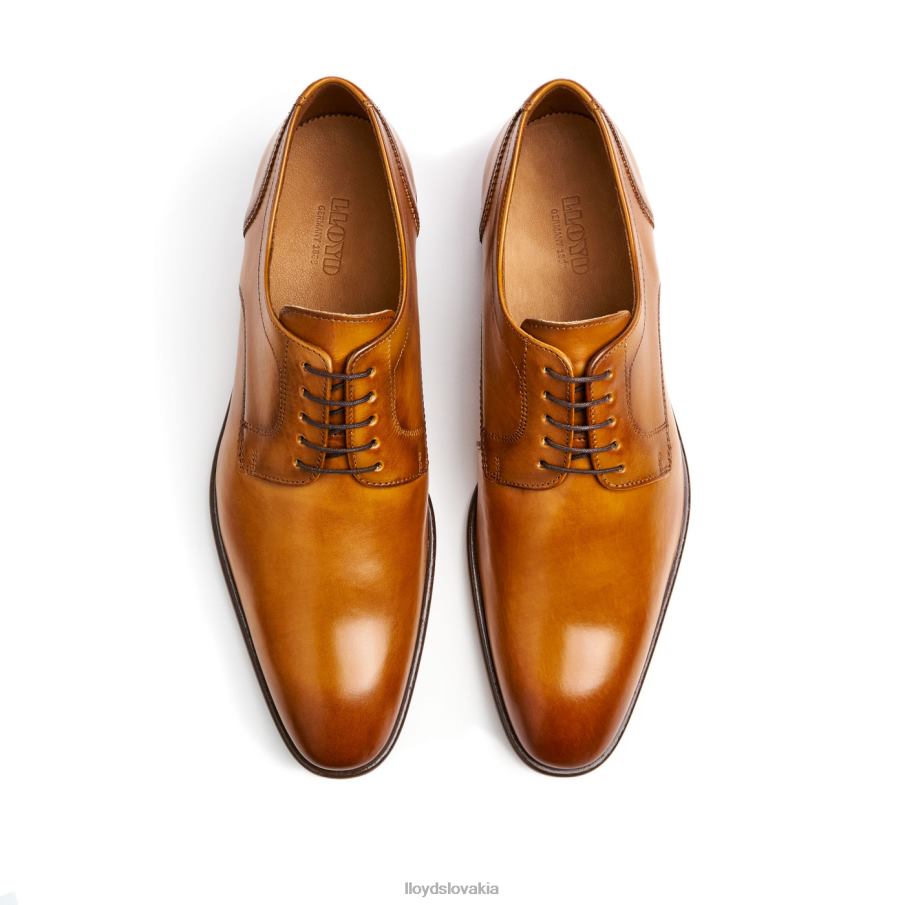 LLOYD pados muži topánky hnedá 6R0JN152