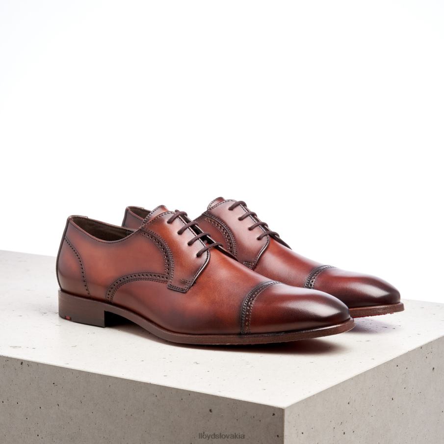 LLOYD perry muži topánky hnedá 6R0JN177