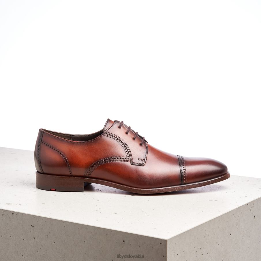 LLOYD perry muži topánky hnedá 6R0JN177