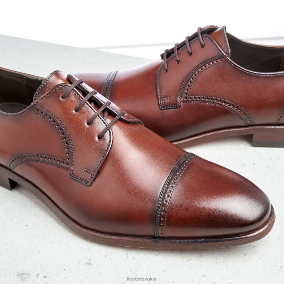 LLOYD perry muži topánky hnedá 6R0JN177