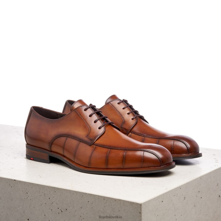 LLOYD pozdraviť muži topánky hnedá 6R0JN224