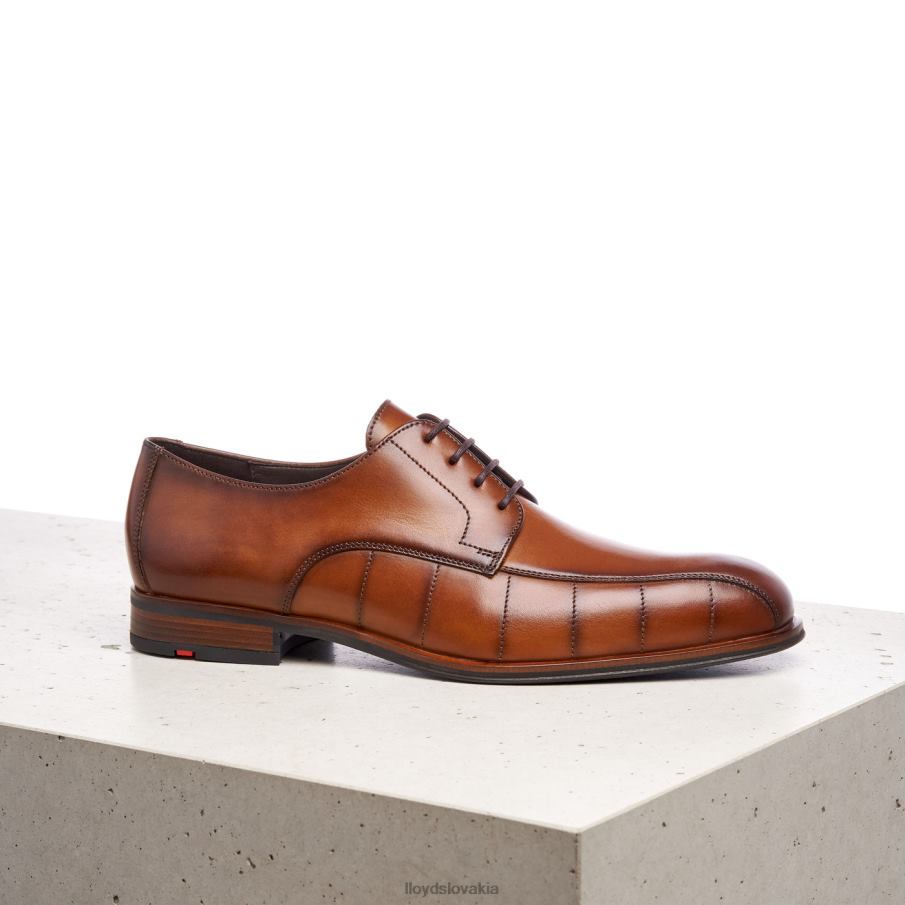 LLOYD pozdraviť muži topánky hnedá 6R0JN224