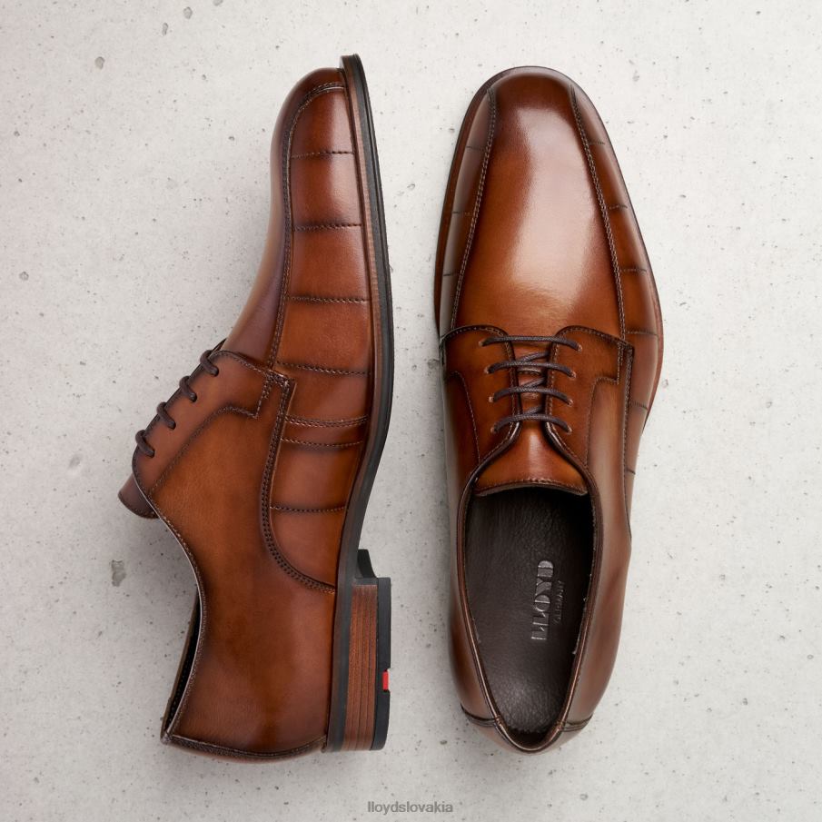 LLOYD pozdraviť muži topánky hnedá 6R0JN224