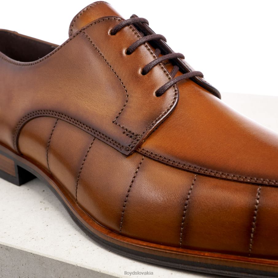 LLOYD pozdraviť muži topánky hnedá 6R0JN224