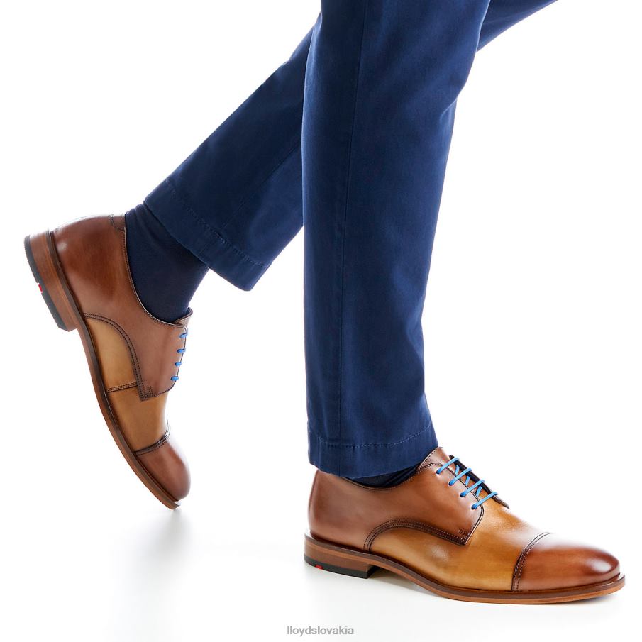 LLOYD rick muži topánky hnedá 6R0JN216