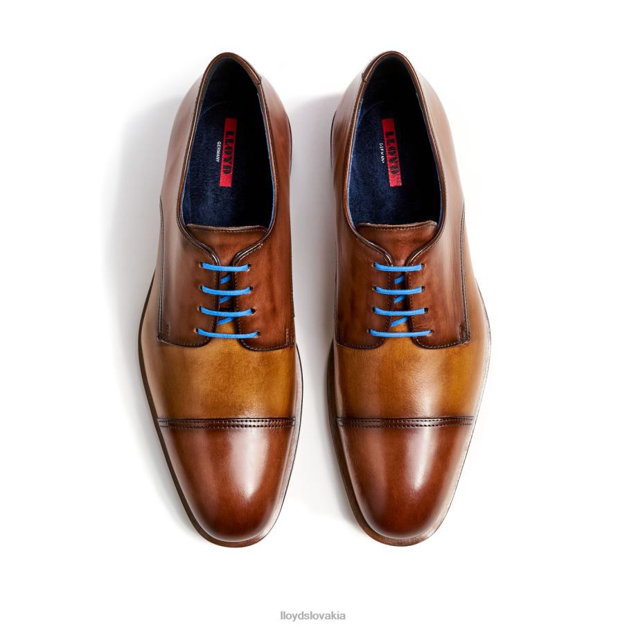 LLOYD rick muži topánky hnedá 6R0JN216