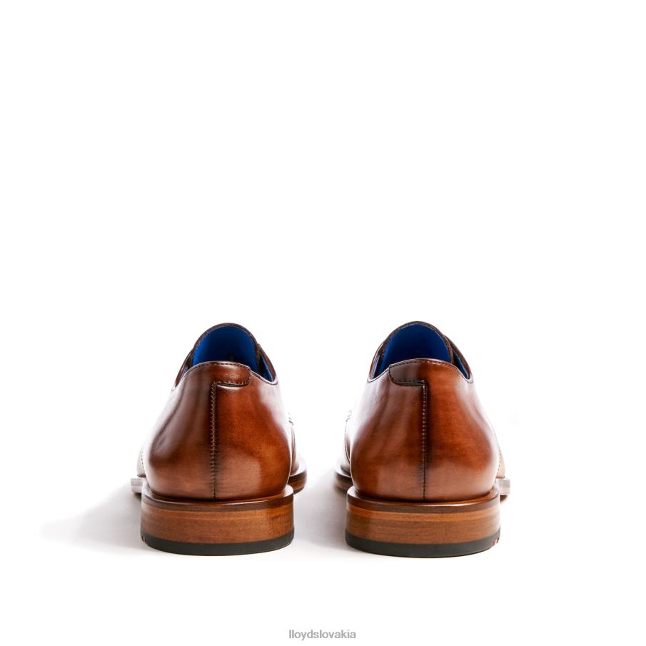 LLOYD rick muži topánky hnedá 6R0JN216