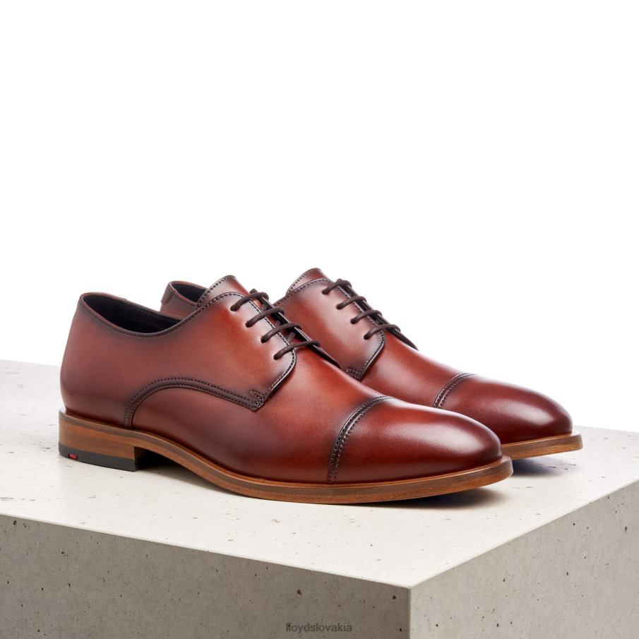 LLOYD rodney muži topánky hnedá 6R0JN195