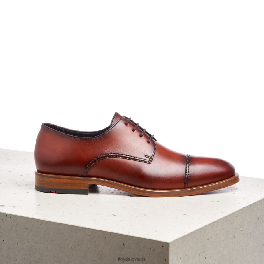 LLOYD rodney muži topánky hnedá 6R0JN195