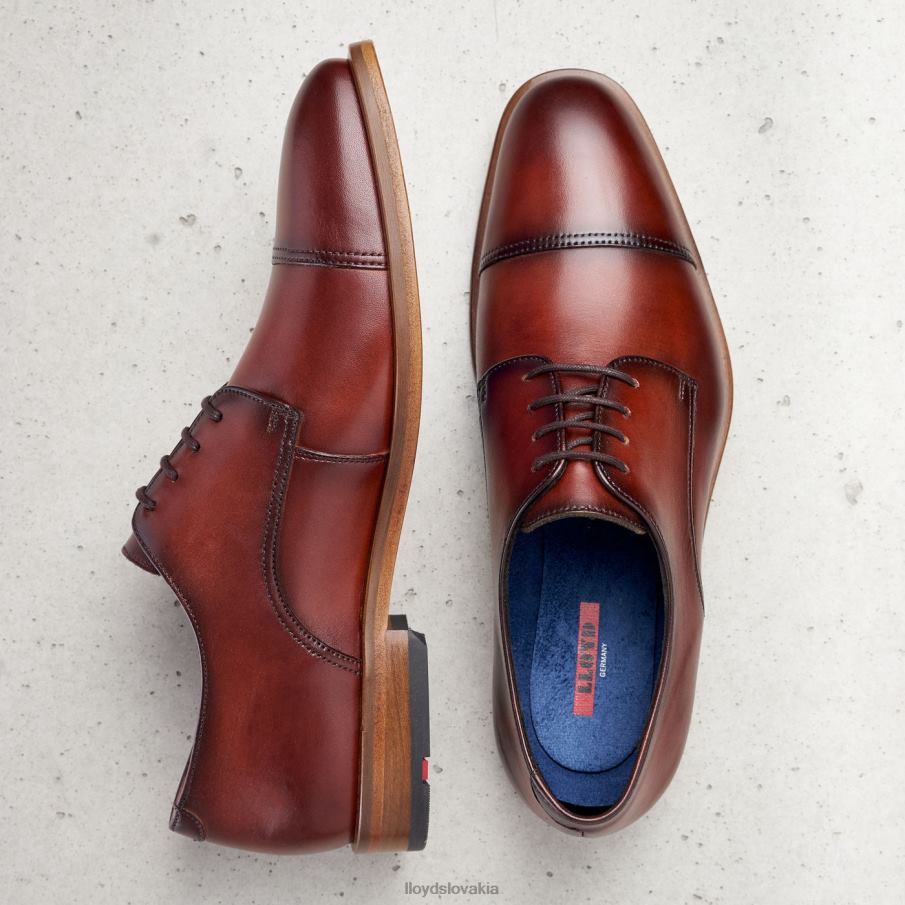 LLOYD rodney muži topánky hnedá 6R0JN195