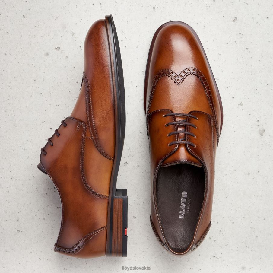 LLOYD samson muži topánky hnedá 6R0JN235