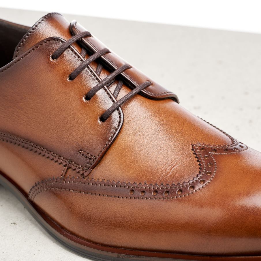 LLOYD samson muži topánky hnedá 6R0JN235