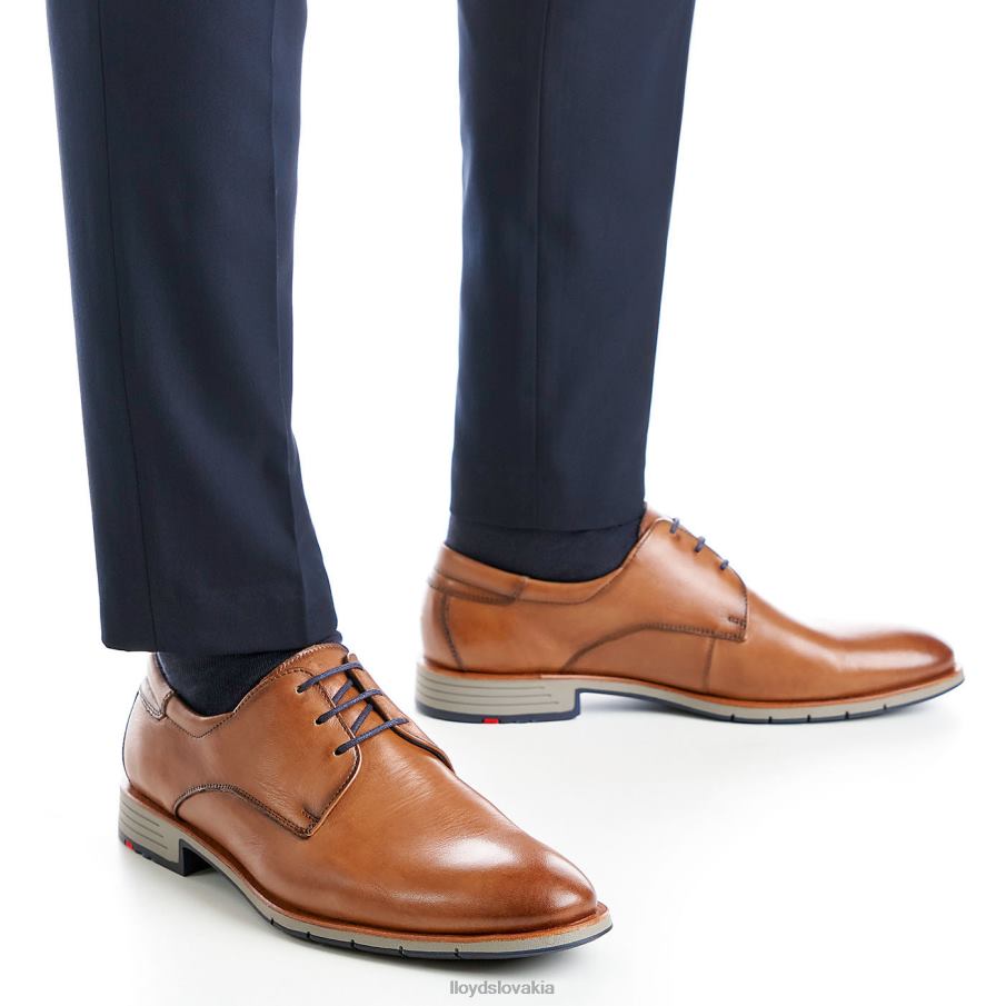 LLOYD tambo muži topánky hnedá 6R0JN23