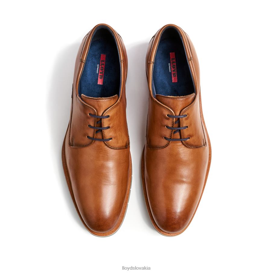 LLOYD tambo muži topánky hnedá 6R0JN23