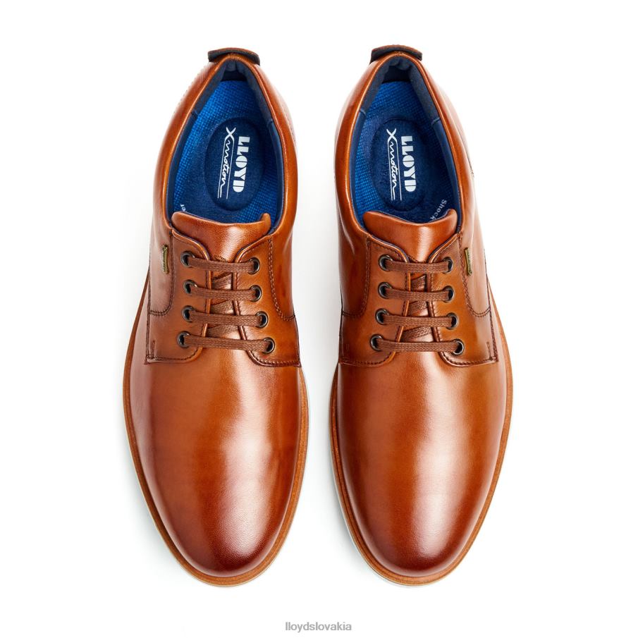 LLOYD vin muži topánky hnedá 6R0JN139