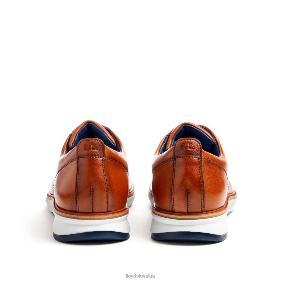 LLOYD vin muži topánky hnedá 6R0JN139