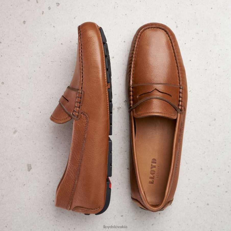 LLOYD emmo muži topánky hnedá 6R0JN610