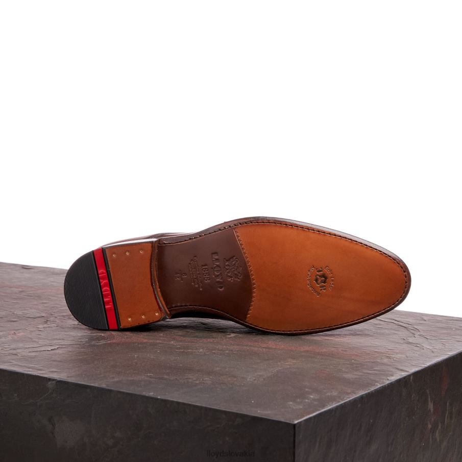 LLOYD wilko muži topánky hnedá 6R0JN185