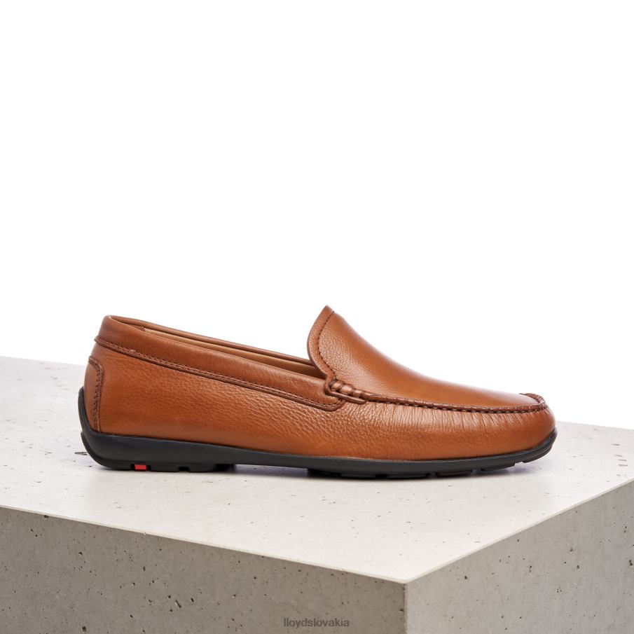 LLOYD Emilio muži topánky hnedá 6R0JN603