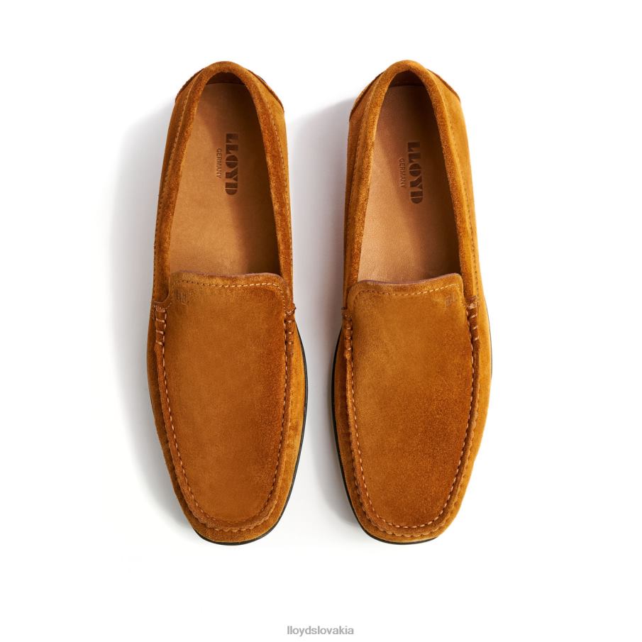 LLOYD Emilio muži topánky hnedá 6R0JN620