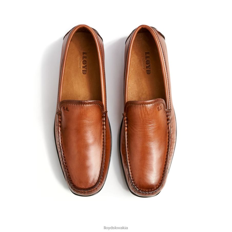 LLOYD Emilio muži topánky hnedá 6R0JN621