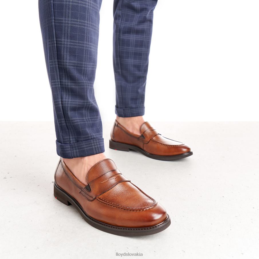 LLOYD reg muži topánky hnedá 6R0JN169