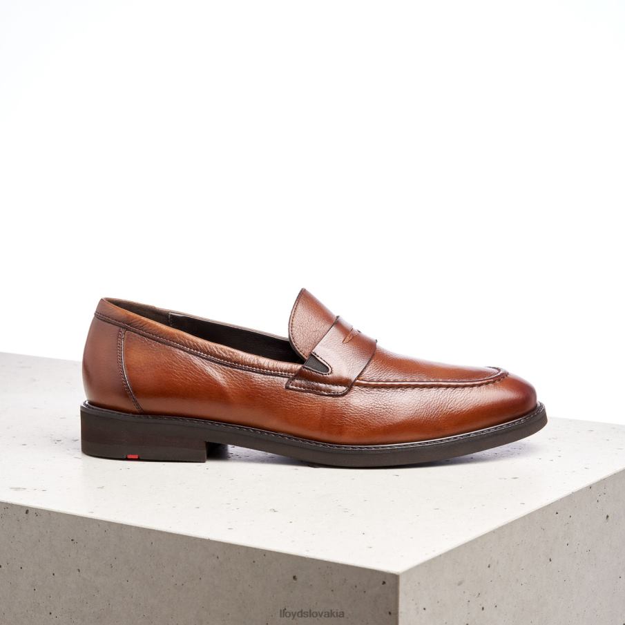 LLOYD reg muži topánky hnedá 6R0JN169