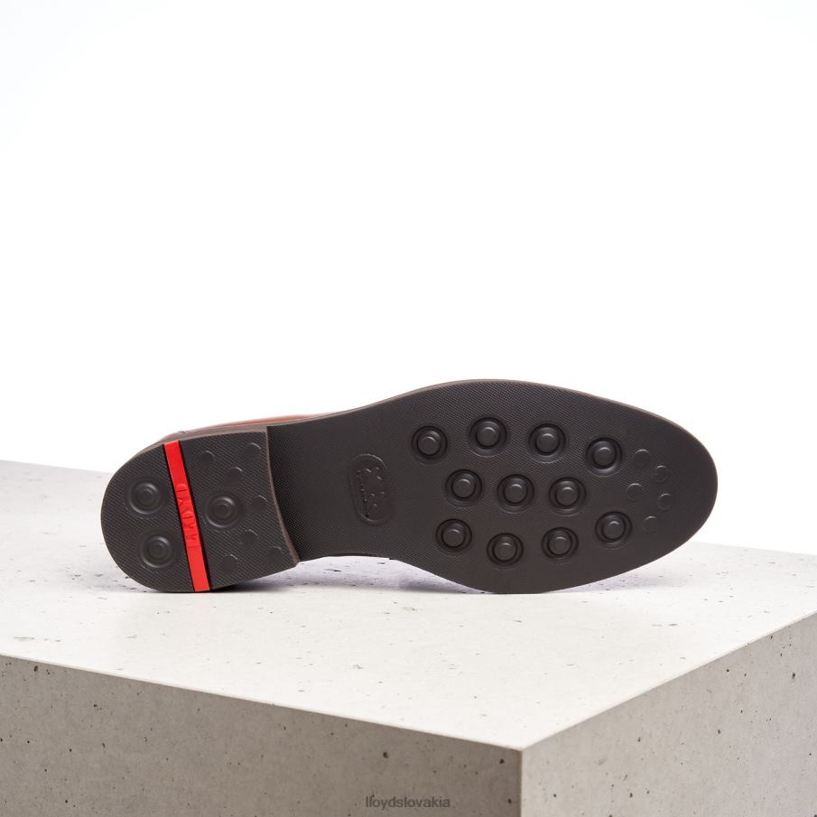 LLOYD reg muži topánky hnedá 6R0JN169