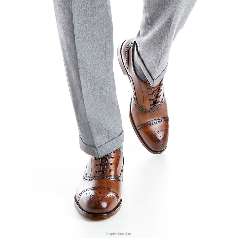 LLOYD Sheffield muži topánky hnedá 6R0JN219